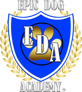 Epic Dog Academy logo no bg